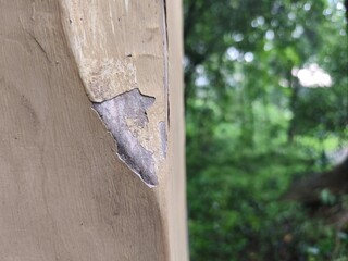 Old, cracked paint peels off a wall, revealing the rough, weathered surface underneath.