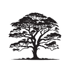 Ink Style Cinchona Tree Silhouette Isolated