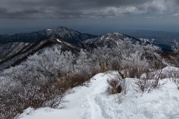雪のトレイル