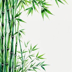 Green bamboo leaf watercolor art painting design on plain white background illustration