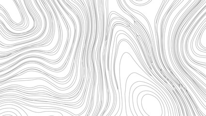 Topographic contour map. similarcartography illustration.  Business concept. Fish Fillet Texture, Salmon fillet texture, fish pattern. paper texture 