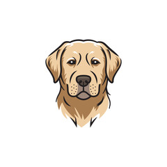  Dog collection vector illustration
