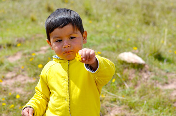 Little latin boy showing yellow flower.