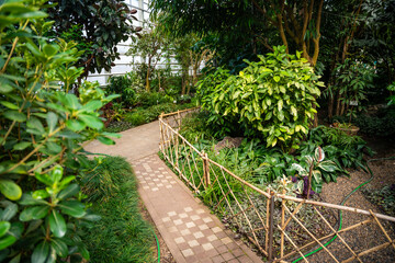 Greenhouse of botanical garden in Kemerovo, rare plants from various climate zones. Ecotourism, sustainable exploration, global plant heritage preservation