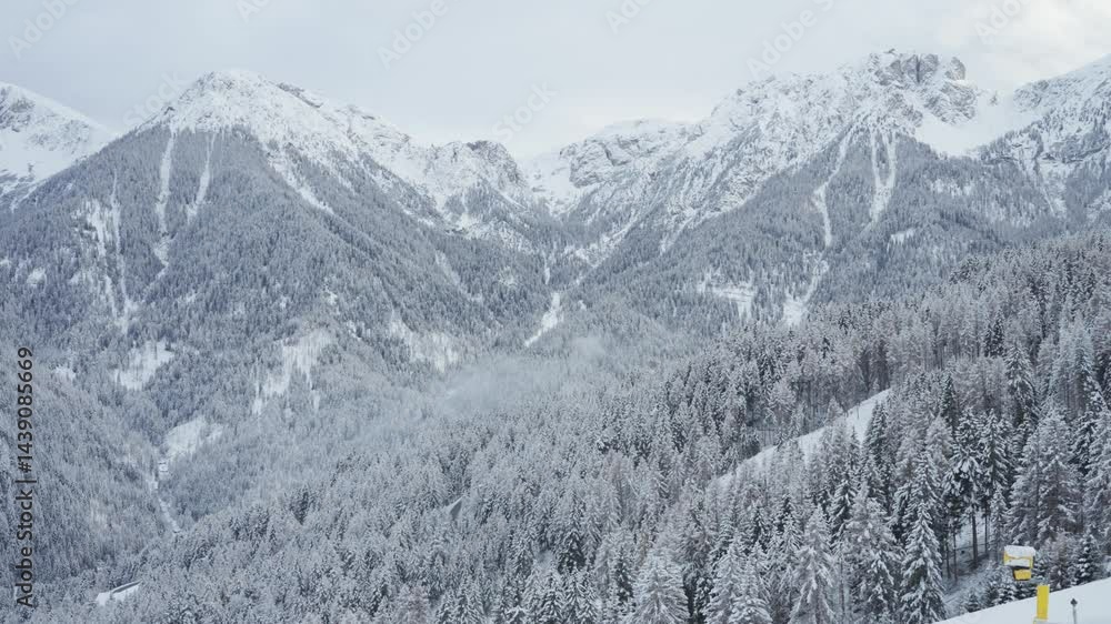 Poster freshly prepared ski slopes are dusted with artificial snow, framed by a pine forest and alpine peak