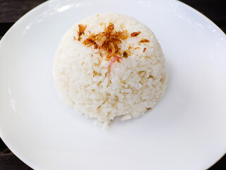 Plain white steamed rice served in a white plate and sprinkle with fried onion topping