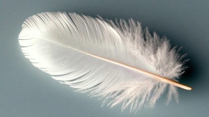 Fluffy white animal sleeping peacefully soft fur close up