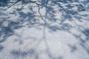 Shadow of a tree on a asphalt floor, Shadows sway from the sunlight on floor