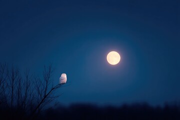 lone owl perched silently on tree branch at night moon illuminated partially in background