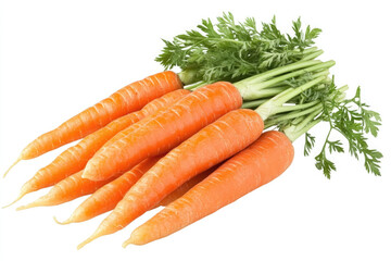 A bunch of fresh carrots isolated