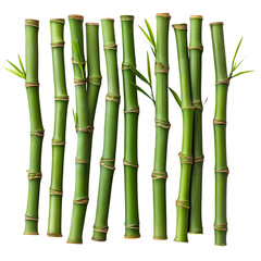 Green Bamboo Stalks Nature Background