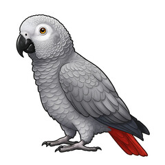 Obraz premium African Grey Parrot: Stunning Bird Portrait