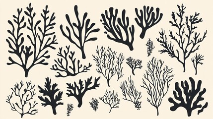 Seaweed silhouettes, ocean plant collection, beige background, design elements