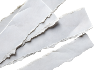 Torn Blank Sheet of Lined Paper Isolate on transparent background cutout, PNG file, Cutout file