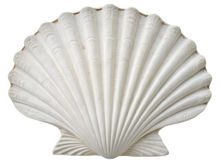White Scallop Seashell Isolate on transparent background cutout, PNG file, Cutout file