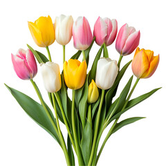 Obraz premium Colorful Tulip Bouquet Spring Flowers