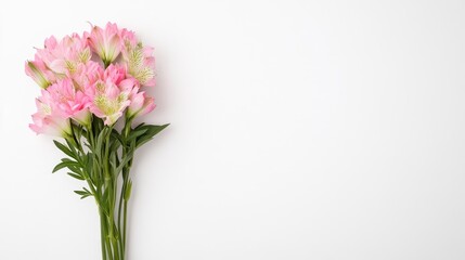 Fototapeta premium A bouquet of delicate pink flowers in a minimalist white background, fresh blooms with green leaves, and simple and elegant floral arrangement.