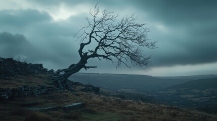 A lonely tree stands against stormy skies in a dramatic landscape with rolling hills and a moody atmosphere.