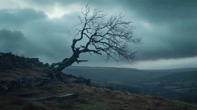 A lonely tree stands against stormy skies in a dramatic landscape with rolling hills and a moody atmosphere.