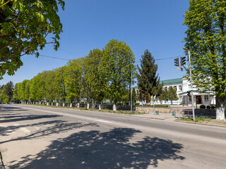 Obraz premium A street lined with trees on both sides of the road