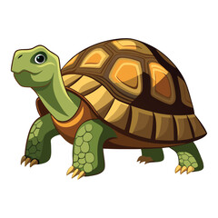Tortoise Vector 