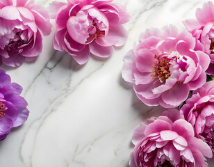 Fototapeta premium Petals of Beautiful Pink and Purple Peony flowers over a white marble background, with copy space. A Pink peony flower frame.