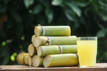 A drink made from squeezed yellow sugar cane juice or Saccharum officinarum L which is part of the...
