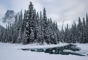 Snow-covered forest landscape with a frozen river and mountain backdrop in winter scenery