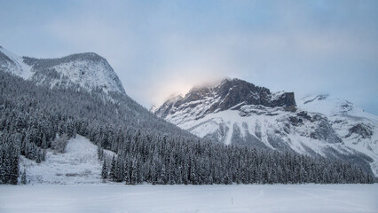 Obraz premium Winter landscape reveals mountains and a soft sunrise over snow-covered trees in a tranquil setting