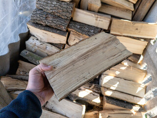 A person holding a piece of wood in their hand