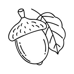 acorn icon, acorn line art - simple line art of acorn, perfect for acorn logos and icons