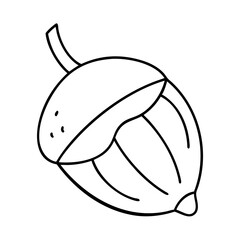 acorn icon, acorn line art - simple line art of acorn, perfect for acorn logos and icons