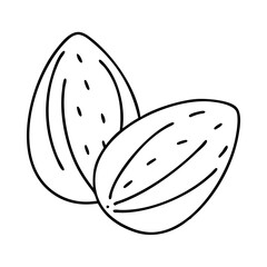 almonds icon, almonds line art - simple line art of almonds, perfect for almonds logos and icons
