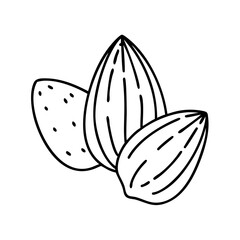 almonds icon, almonds line art - simple line art of almonds, perfect for almonds logos and icons