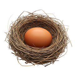 A Single Brown Egg in a Bird's Nest