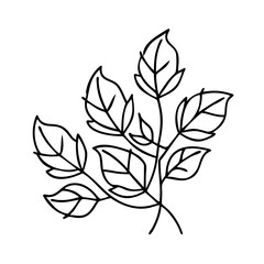 amber leaves icon, amber leaves line art - simple line art of amber leaves, perfect for amber leaves logos and icons
