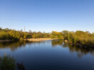 A body of water surrounded by trees and bushes