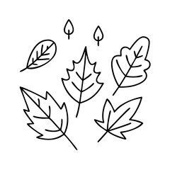 autumn leaves icon, autumn leaves line art - simple line art of autumn leaves, perfect for autumn leaves logos and icons