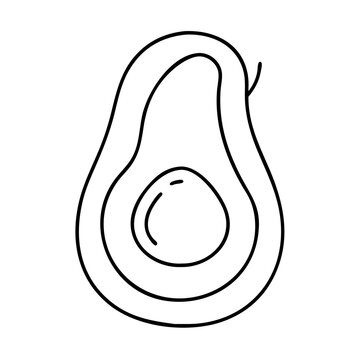 recommend clip art: avocado icon, avocado line art - simple line art of avocado, perfect for avocado logos and icons