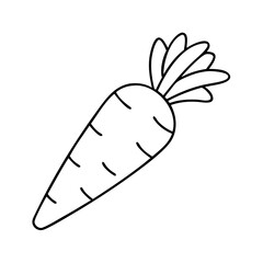 carrot icon, carrot line art - simple line art of carrot, perfect for carrot logos and icons
