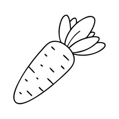 carrot icon, carrot line art - simple line art of carrot, perfect for carrot logos and icons