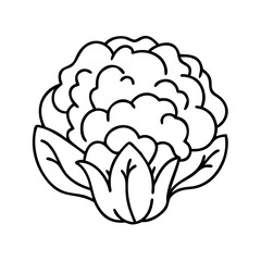 cauliflower icon, cauliflower line art - simple line art of cauliflower, perfect for cauliflower logos and icons