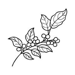 coffee plant branch icon, coffee plant branch line art - simple line art of coffee plant branch, perfect for coffee plant branch logos and icons