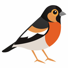 bird on a white background