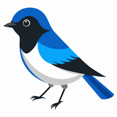 blue bird on a branch