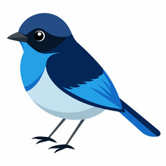 blue bird on a branch