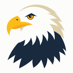 Fototapeta premium american bald eagle