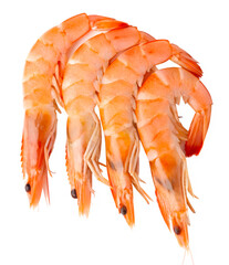 Top view of four orange cooked or boiled prawns in vertical isolated and generated with AI in png file format