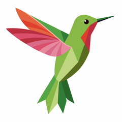 bird, hummingbird, vector, animal, illustration, nature, flying, wing, flower, design, beak, feather, art, cartoon, wild, parrot, wildlife, fly, tropical, cute, stork, silhouette, color, flight, drawi