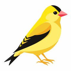 yellow bird